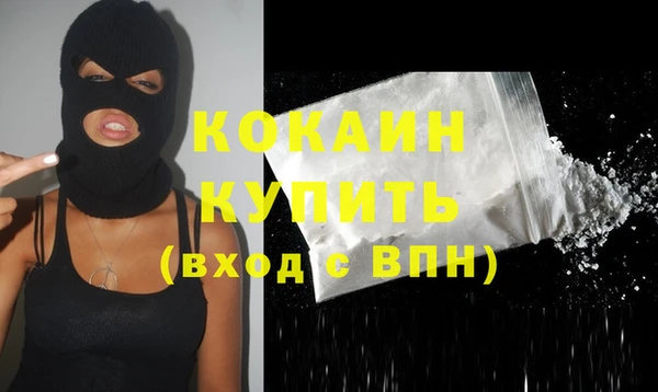 стаф Инсар