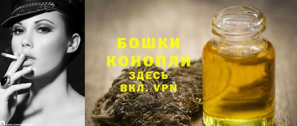 мет Инта