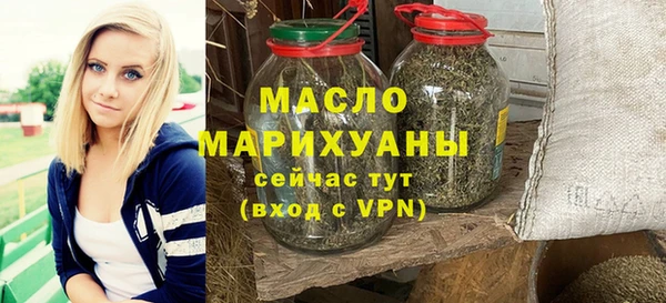 мет Инта