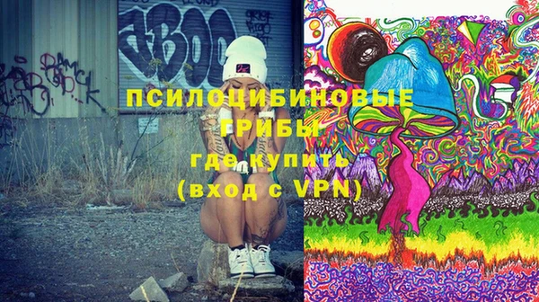 мет Инта