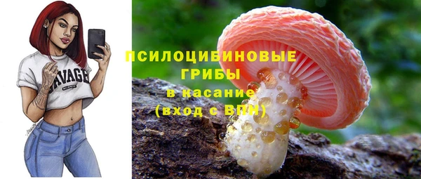 стаф Инсар