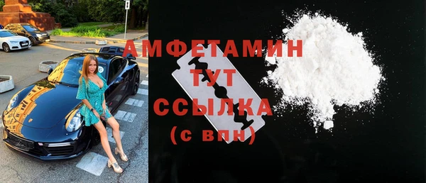 стаф Инсар