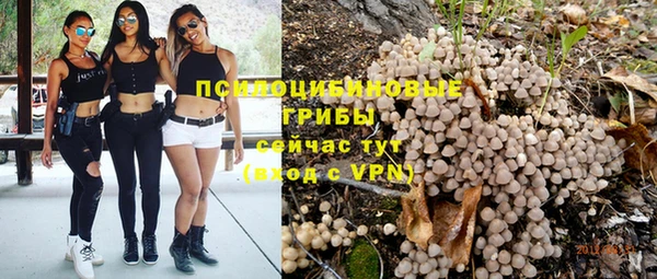 мет Инта