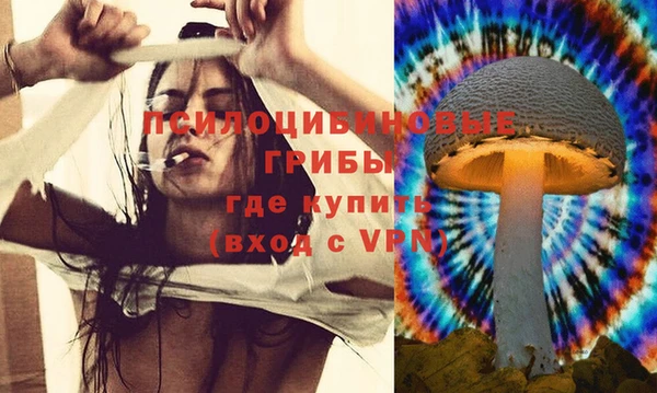 стаф Инсар