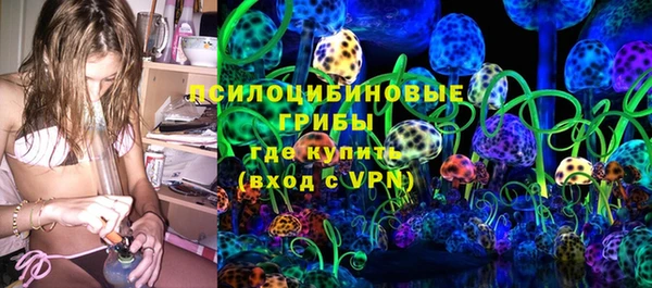 мет Инта