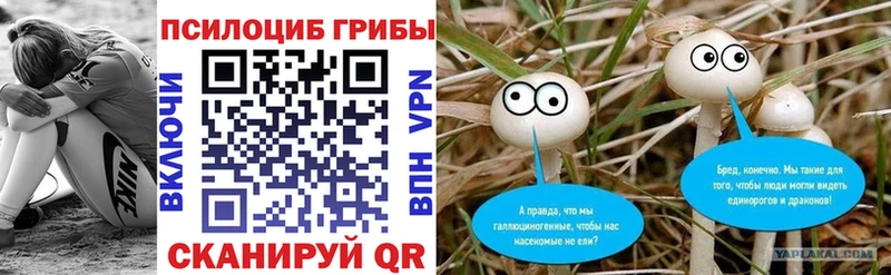 Галлюциногенные грибы Psilocybine cubensis  Калининск 